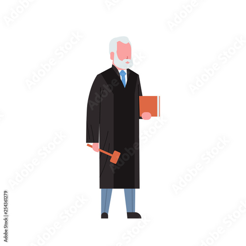 judge man court worker in judicial robe holding book and hummer low justice professional occupation concept male cartoon character full length white background flat
