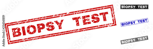 Grunge BIOPSY TEST rectangle stamp seals isolated on a white background. Rectangular seals with grunge texture in red, blue, black and grey colors.