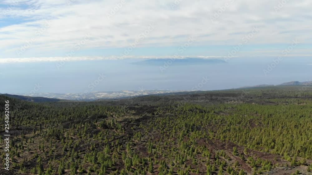 Arial View Pine Forest Mount Teide Tenerife Spain Arial View Pine Forest Mount Teide Tenerife Spain