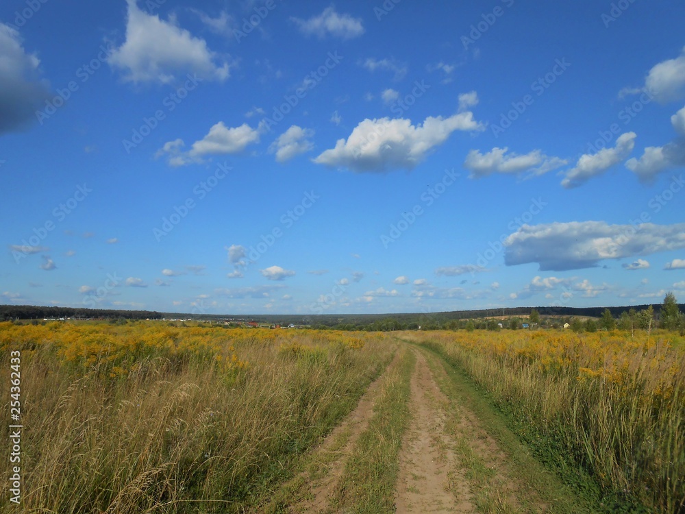 Landscape in the field with road and blue sky and fluffy white clouds.