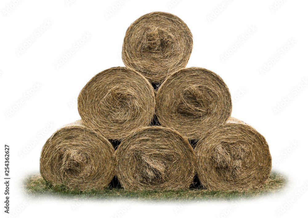 Stacked like a pyramid, bales of straw, tightened mesh . Feed and bedding for livestock on a dairy farm. Front view . Isolated photo . Stacked like a pyramid, bales of straw, tightened mesh . Feed and bedding for livestock on a dairy farm. Front view . Isolated photo .