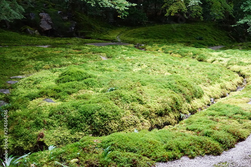 苔に覆われた庭