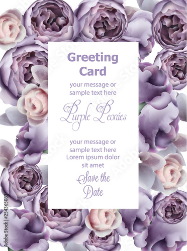 Purple peony flowers card watercolor Vector. Romantic floral invitation or gr...