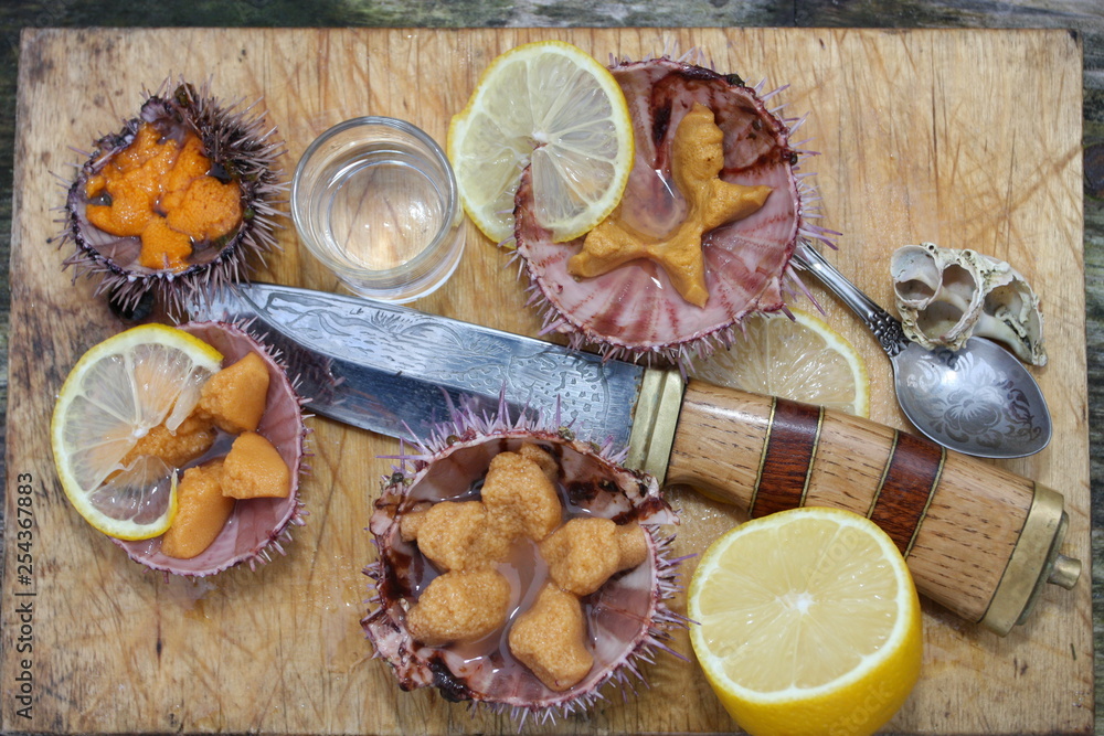 This picture you can call new modern life-painting, that includes lemon, sea urchin and some tableware This picture you can call new modern life-painting, that includes lemon, sea urchin and some tableware