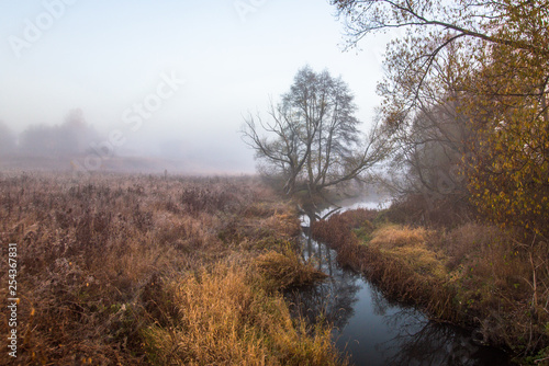 Morning river in forest