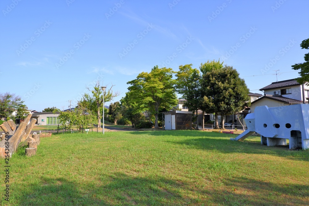 緑が美しい公園 緑が美しい公園