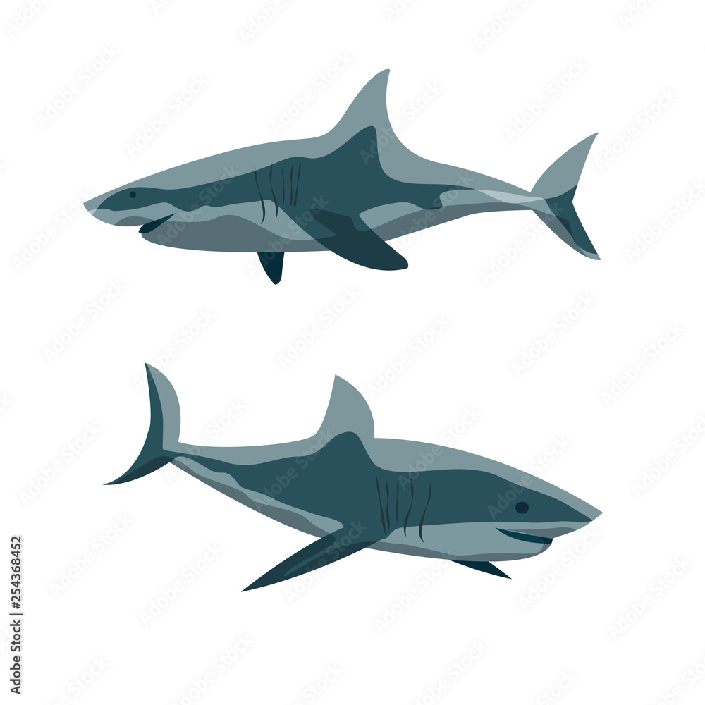 Two sharks in different poses. Wild inhabitants of the sea and ocean. Cartilaginous fish. Realistic Vector Animals Two sharks in different poses. Wild inhabitants of the sea and ocean. Cartilaginous fish. Realistic Vector Animals