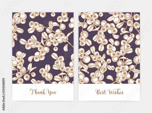 Bundle of postcard or flyer templates decorated by lingonberry sprigs hand drawn with contour lines. Set of cards with ripe fresh organic boreal berries. Natural vector illustration in vintage style.