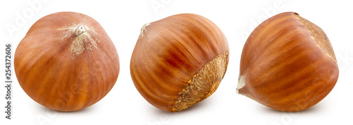 Hazelnut isolated Clipping Path