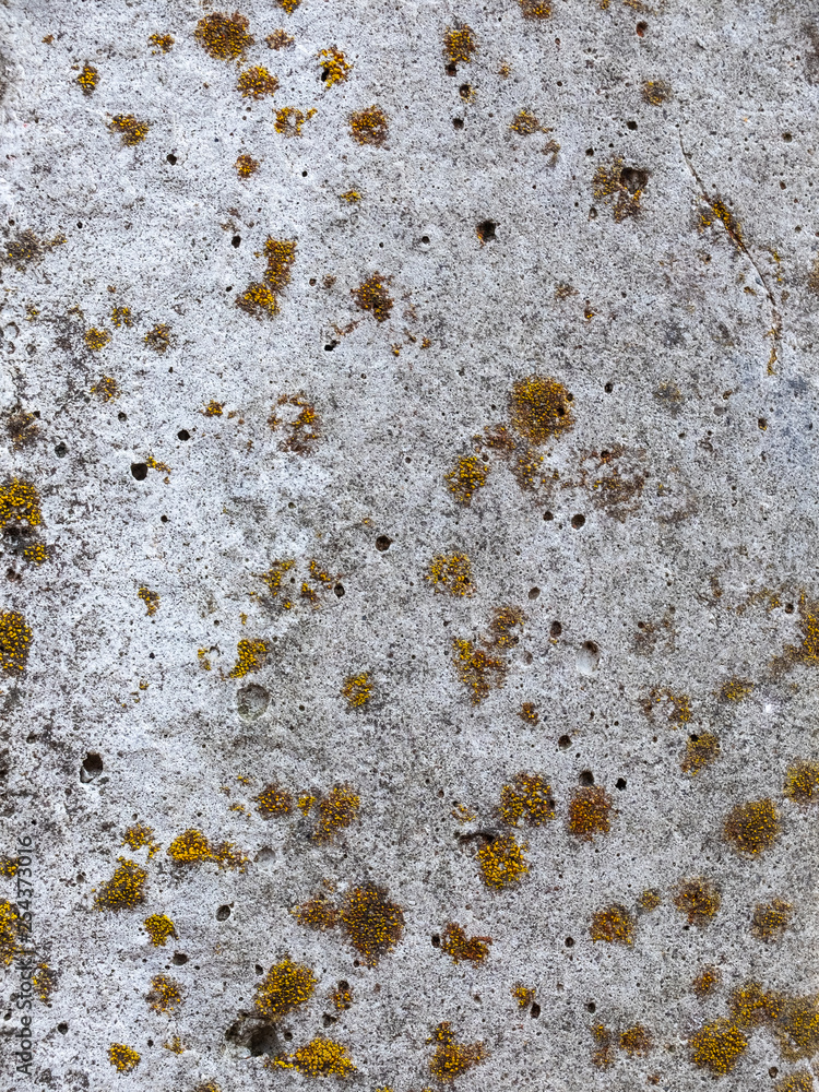 Fotka „Texture of old reinforced concrete surface with rust and moss ...