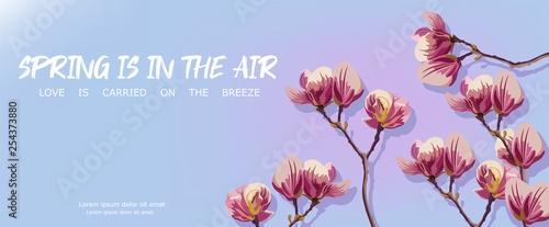 Magnolia flowers spring Vector. Beautiful card templates. Blue backgrounds