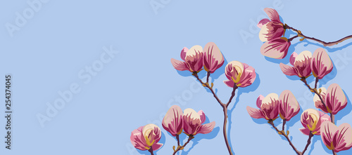 Magnolia flowers spring Vector. Beautiful card templates. Blue backgrounds