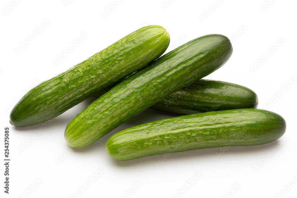 Fresh cucumber on white background. Fresh cucumber on white background.