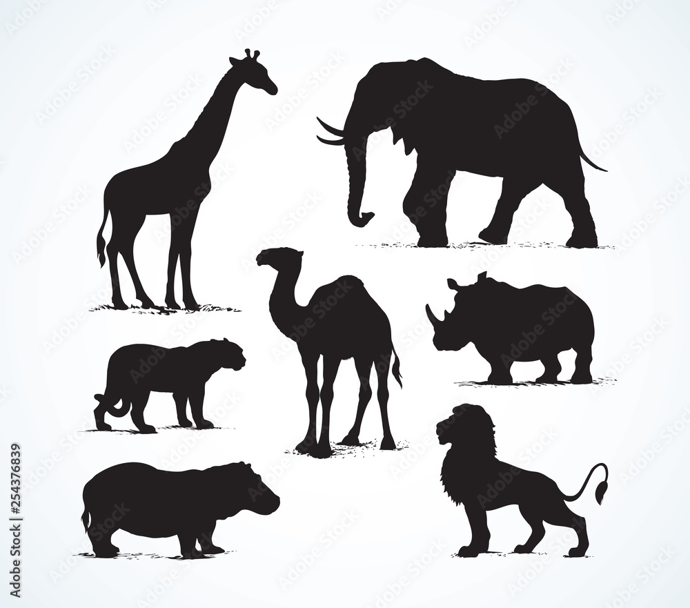 Naklejka premium African animals. Vector drawing
