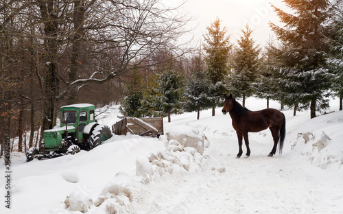 Old Tractor stuck in snow and horse standing on snowy road © Ayman