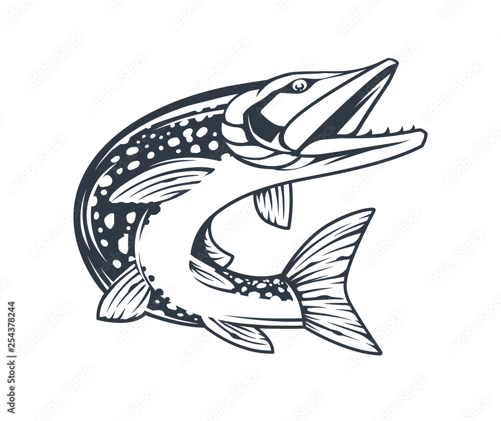 Pike Fish Monochrome Vector Isolated Pike Fish Monochrome Vector Isolated