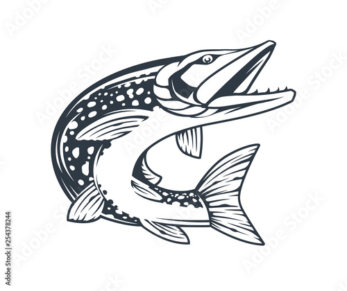 Pike Fish Monochrome Vector Isolated