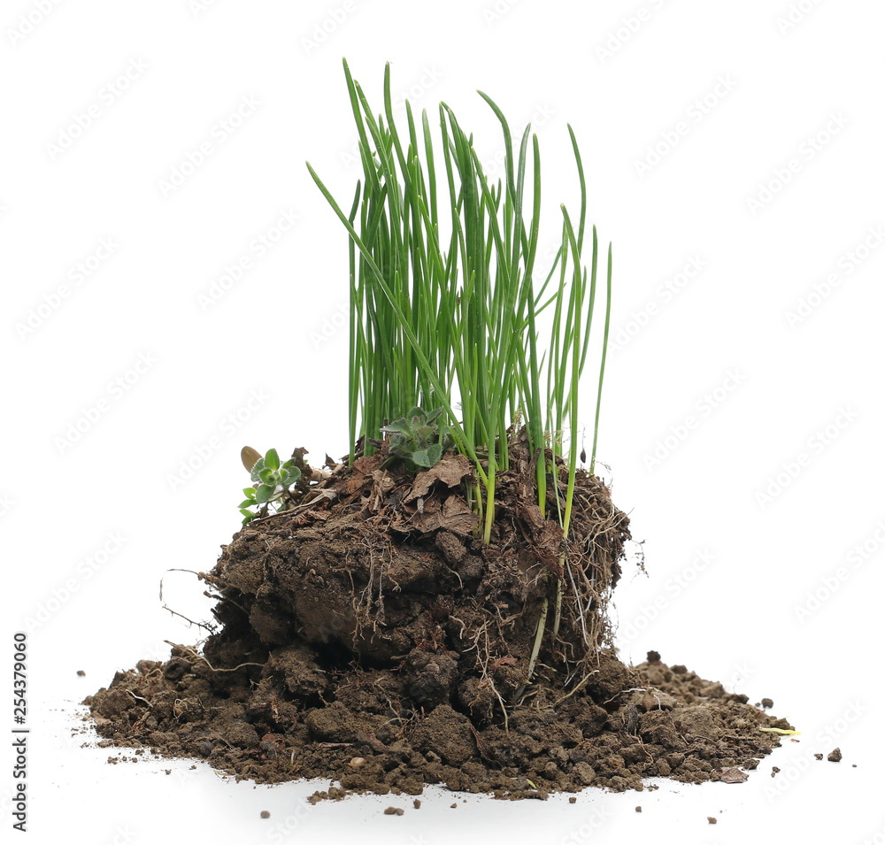 Green grass with dirt isolated on white background and texture Green grass with dirt isolated on white background and texture