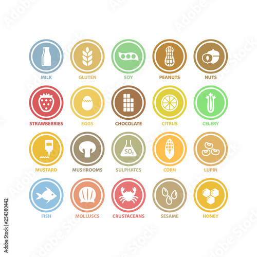 Food allergens white circle vector signs in colorful labels. Food allergens symbols sticker label set.