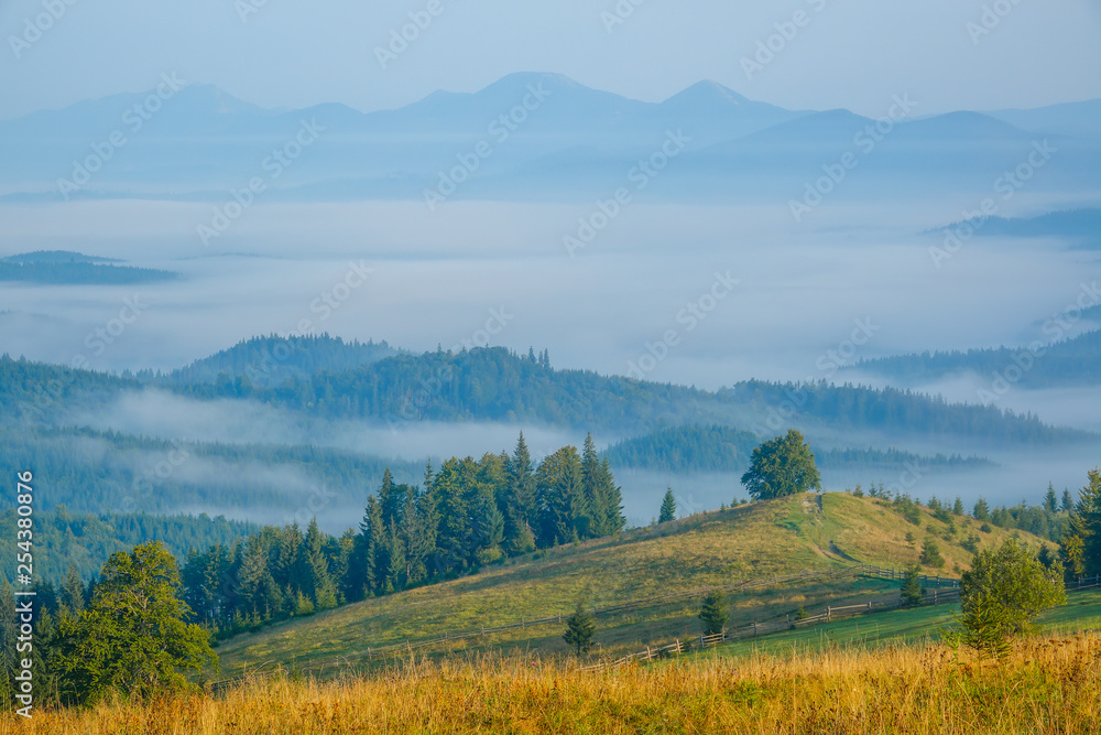 Carpathian mountains covered with forest. Summer morning. Fog in the valley. Blue peaks in the rear plan.
