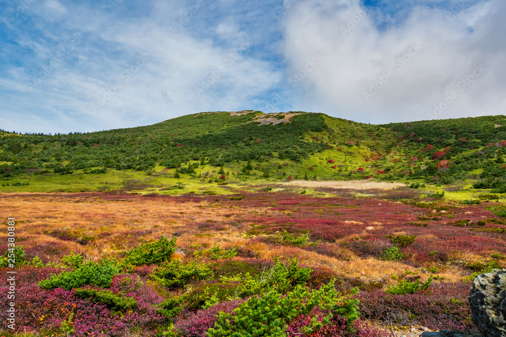 吾妻山　浄土平湿原の紅葉