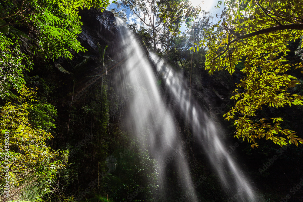 Obraz premium Beautiful rays of light protruding through high waterfall and lush vegetation in rainforest