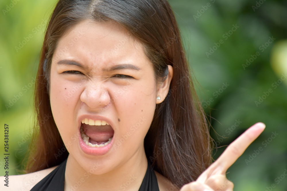 A Mad Adult Female A Mad Adult Female