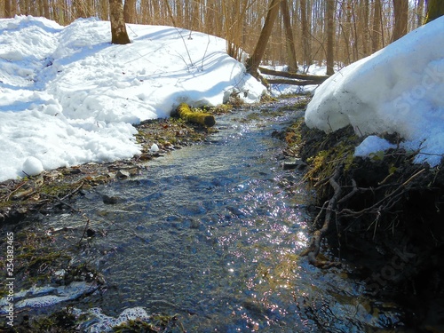 Forest flowing srteam behind the roots and snow. photo