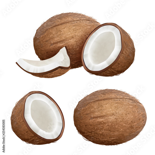 Coconut realistic. Tropical closeup nature fruit from fresh palm vector coconut milk pictures. Palm fruit coconut, coco tropical closeup illustration
