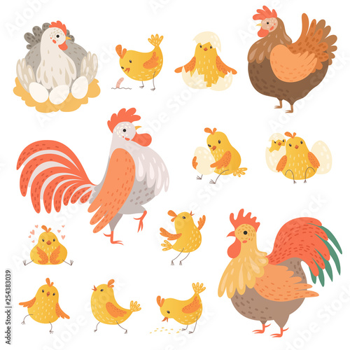 Chicken and rooster. Funny domestic farm animals birds eggs pollo vector cartoon characters. Character chicken farm, rooster illustration