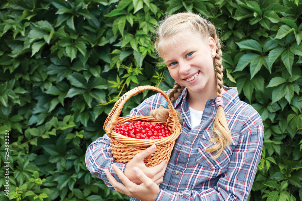 Cheerful girl stands on the background of a green wall in the garden, with a cherry basket in her hands. Cheerful girl stands on the background of a green wall in the garden, with a cherry basket in her hands.