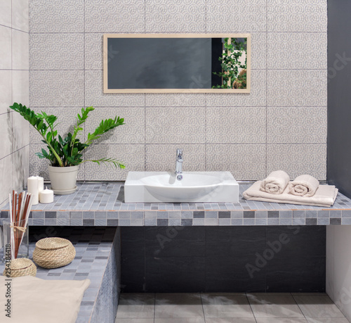 Modern bathroom with ceramic tiles on the floor and walls and a flower Zamiokulkas as decoration photo