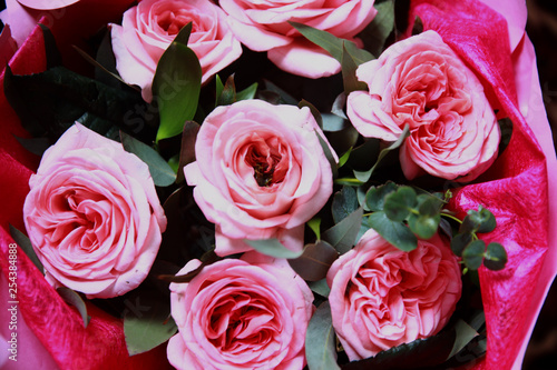 Close-up pink roses flower  pattern.