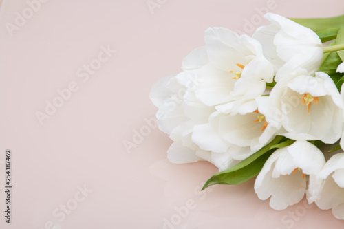 White tulips on pale pink background .