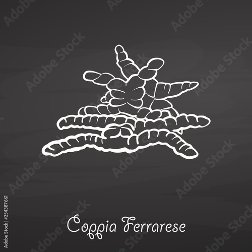 Coppia Ferrarese food sketch on chalkboard