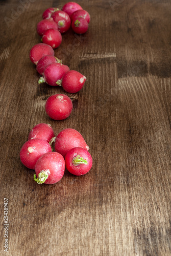 Top view of radishes on dark wooden background