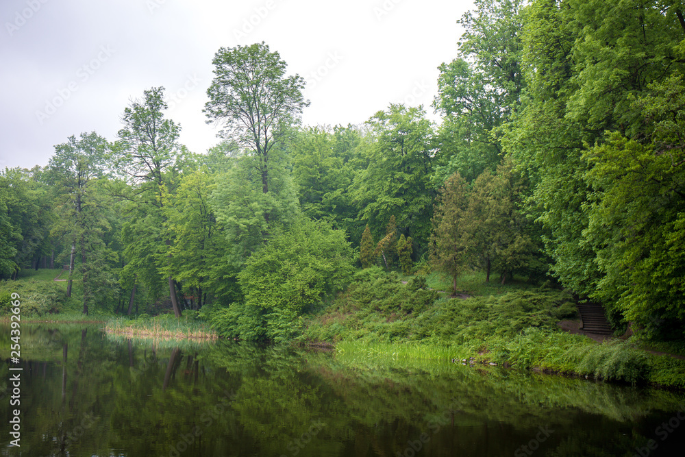 Lake in the morning