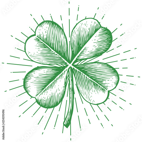 clover with four leaf - vintage engraved vector illustration (hand drawn style)