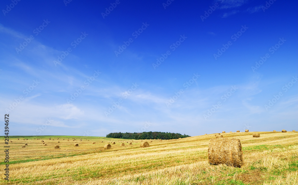 Landscape, view of fields after harvest Landscape, view of fields after harvest
