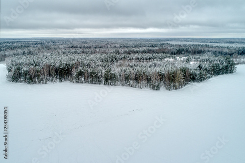 Snow-covered forest, fields covered with white snow. Typical European winter landscape. It's a nasty day. © nordroden