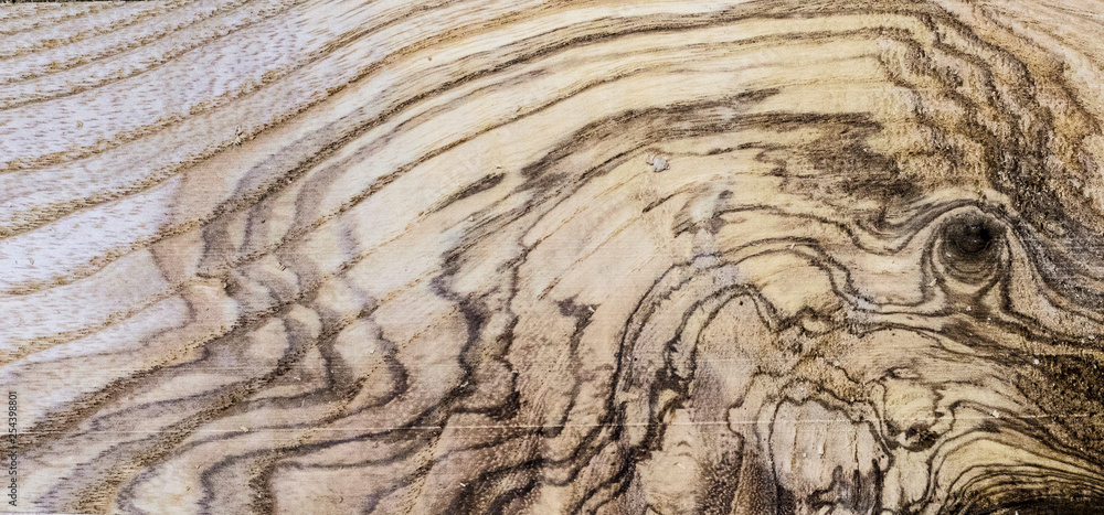 Creative idea for background. wood veneer texture, oak Creative idea for background. wood veneer texture, oak