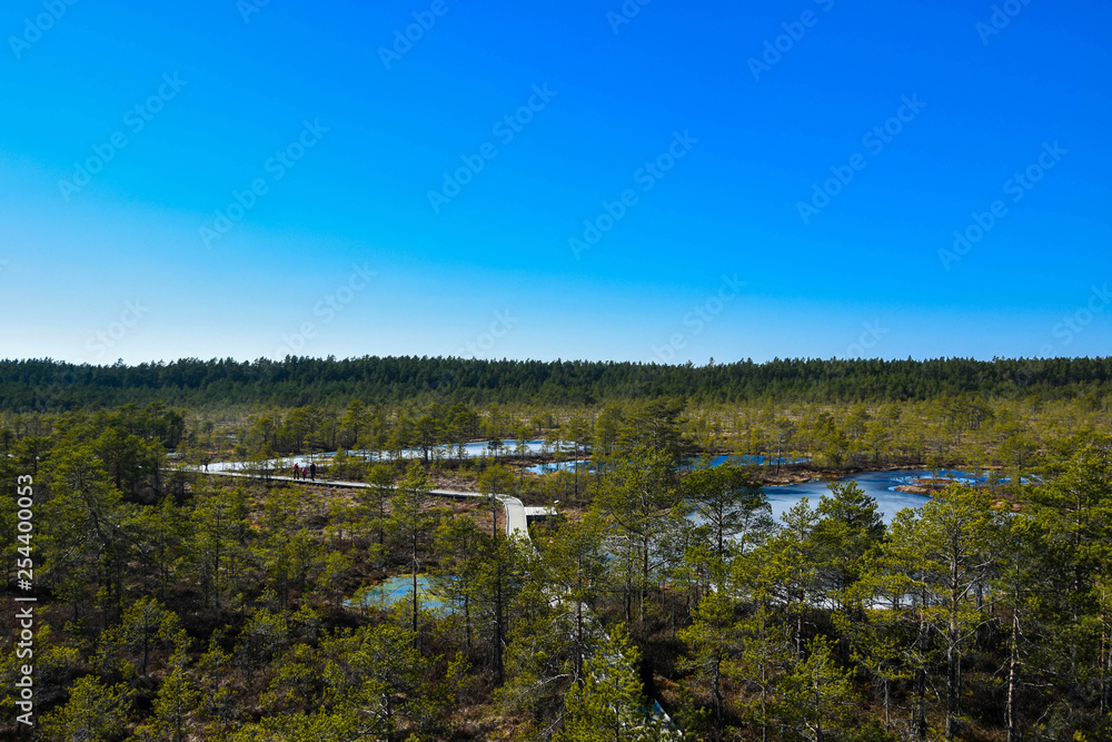 Viru bog in northern Estonia