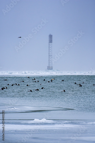 Channel Marker Lake St. Clair photo