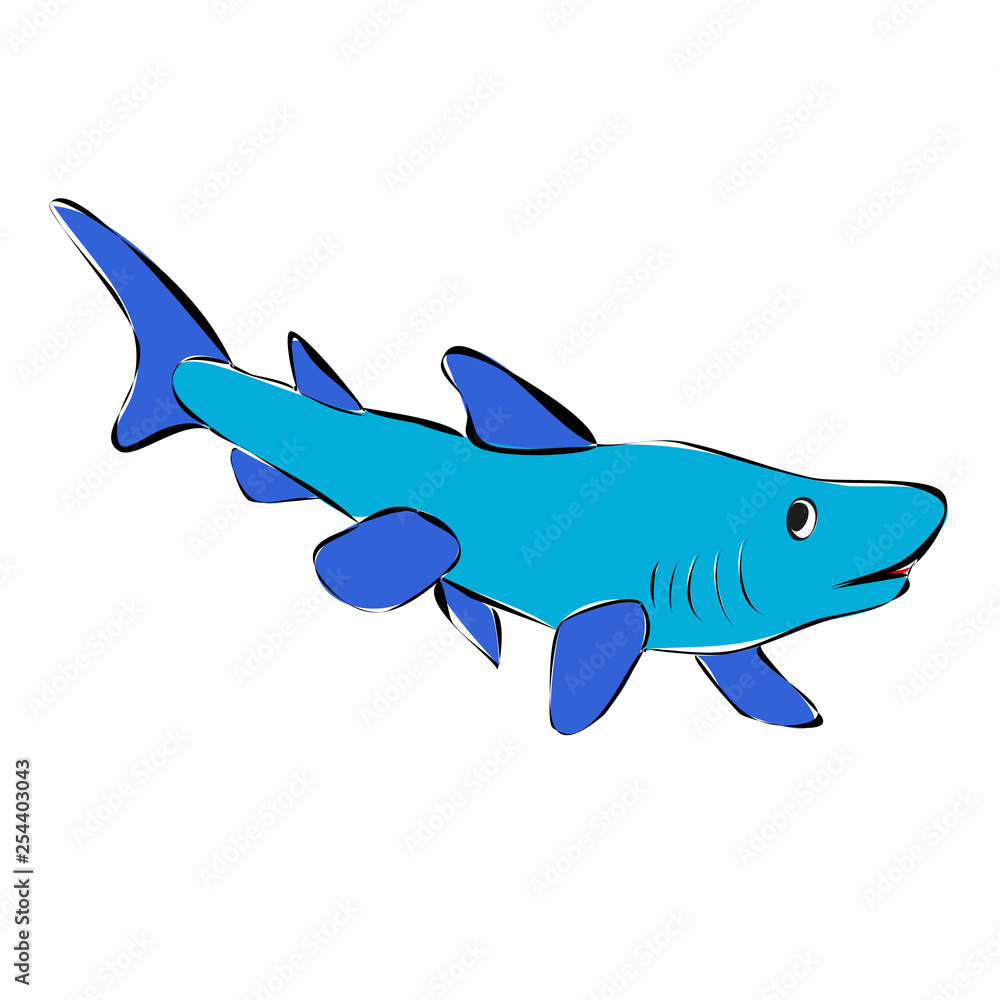 Fototapeta premium isolated fish shark