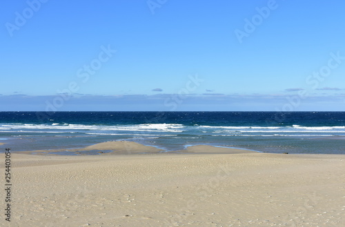 Beach with golden sand and blue sea with waves and foam. Clear sky  sunny day. Galicia  Spain.