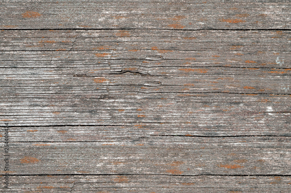 Wood background Wood background