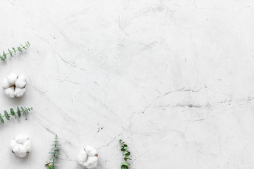Flowers border with green eucalyptus branches and dry cotton flowers on white stone background top view space for text