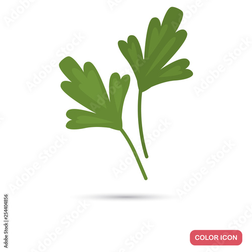 Parsley color vector icon for web and mobile design