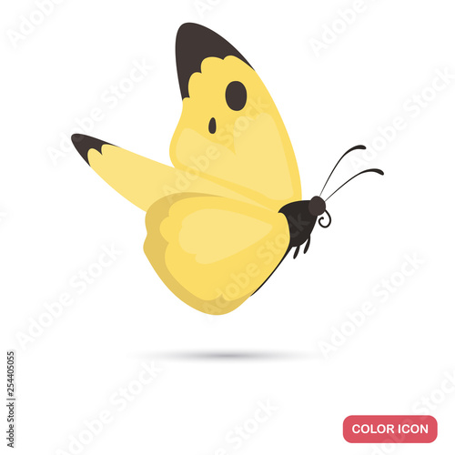 Spring butterfly color flat icon for web and mobile design