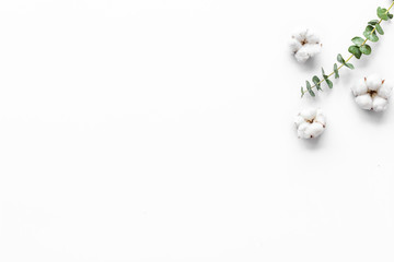 Natural flowers composition with eucalyptus branches and cotton on white background top view, flat lay copy space